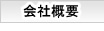 ���r���e�B�v���X�̉�ЊT�v